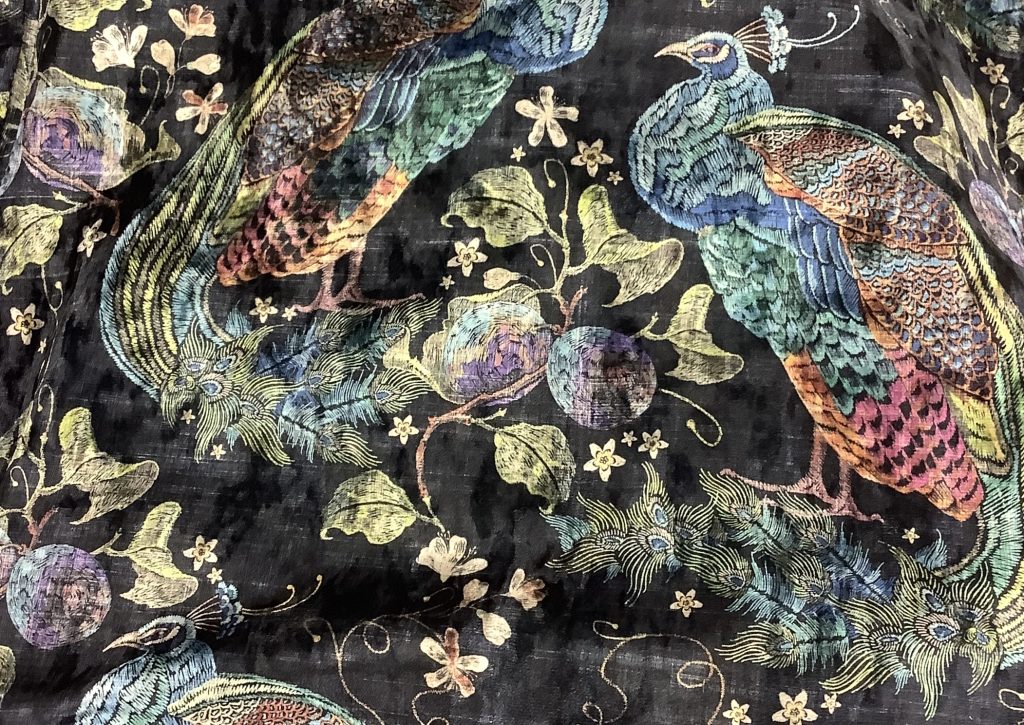velvetpeacock664 2